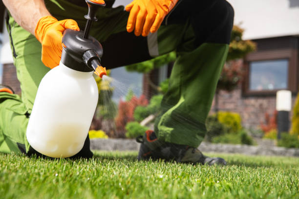 Reliable Georgetown, PA Pest Control Solutions