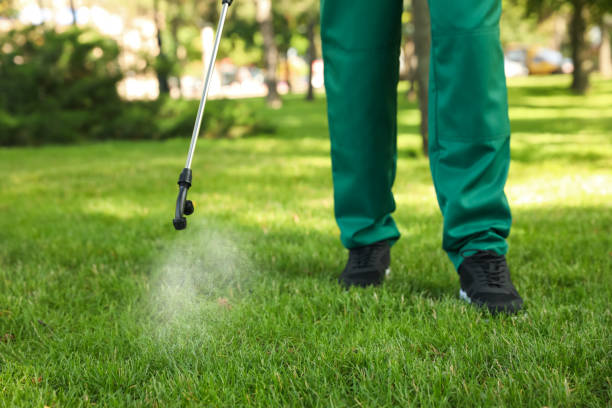Best Pest Removal Services  in Georgetown, PA