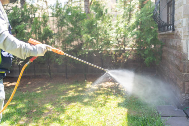Best Spider Control Near Me  in Georgetown, PA