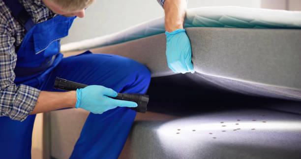 Best Ant Control Services  in Georgetown, PA