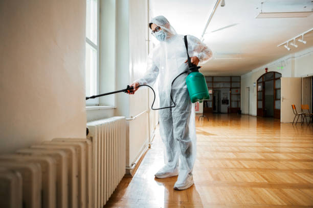 Best Wasp Removal Services  in Georgetown, PA