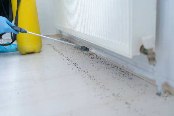 Best Termite Control Services  in Georgetown, PA