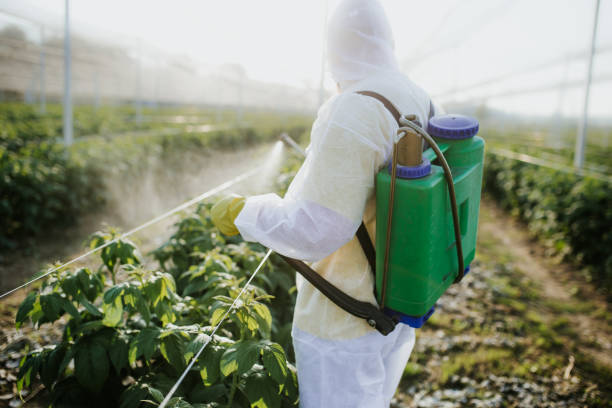 Best Pest Prevention Services  in Georgetown, PA